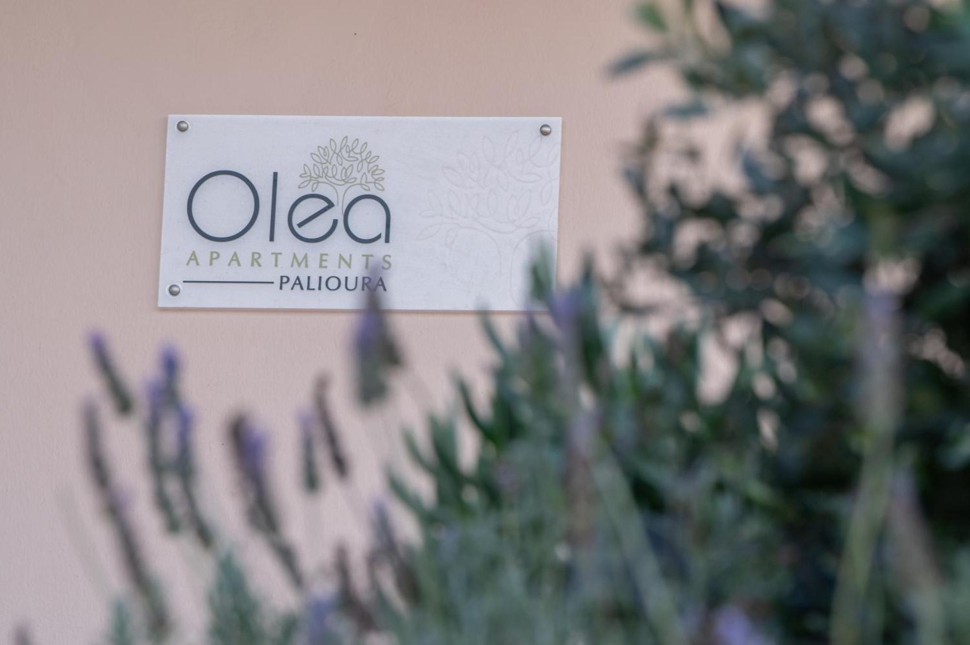 Olea Apartments Palioura Epanomi Luaran gambar